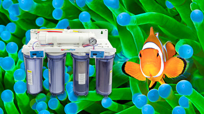 Explore SpectraPure's Aquarium Products