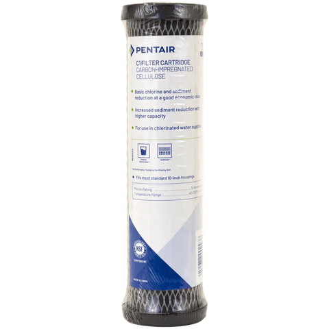Pentek C1 Dual Purpose Sediment Carbon Filter - SF-CF-5-10 Spectrapure