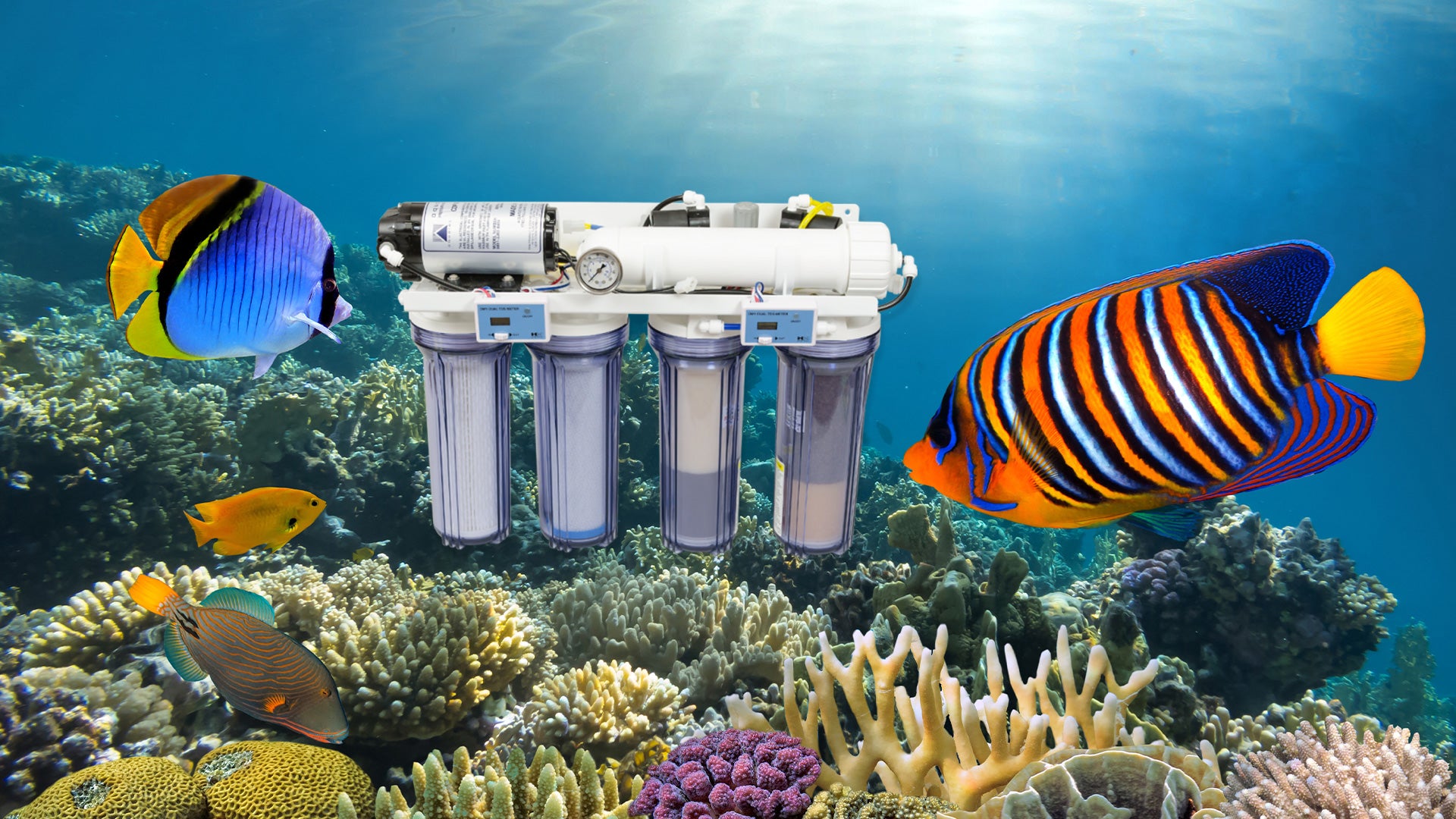 Aquarium Filtration System for Water Conservationists