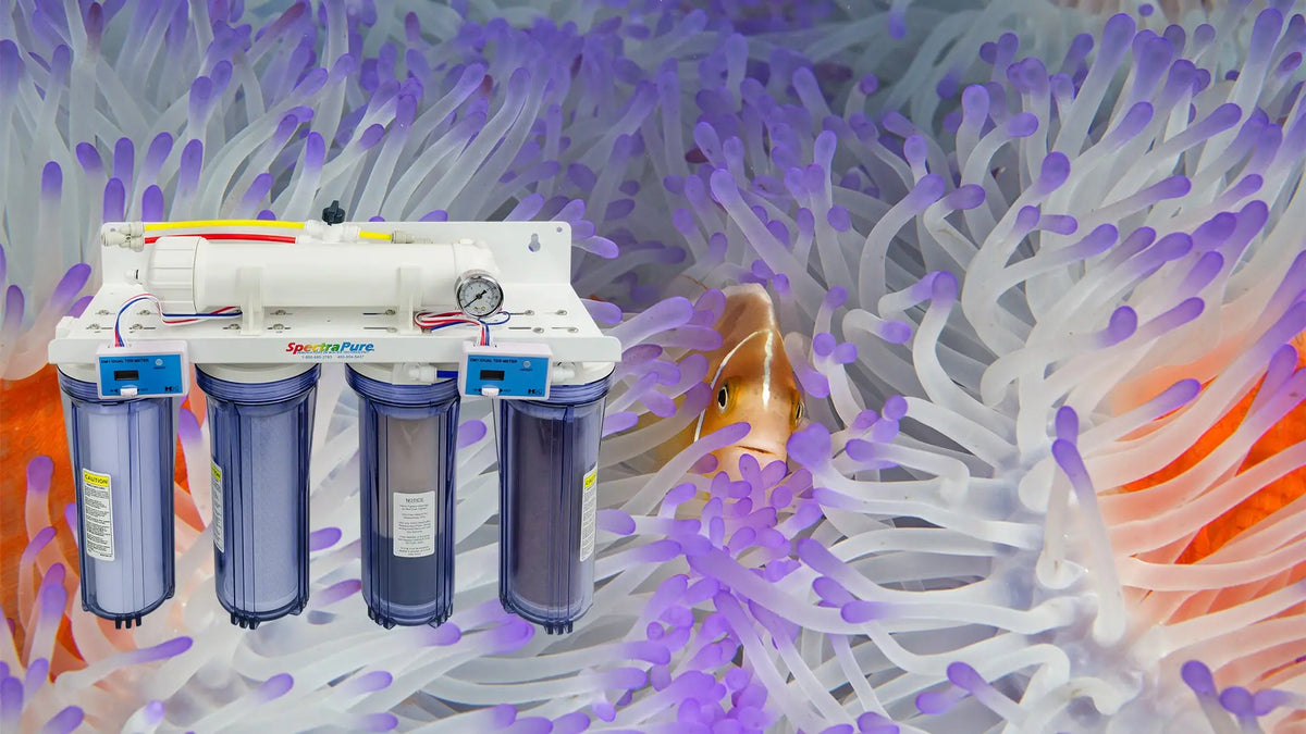 Best Water Purification System: Enjoy Watching Your Indoor Reef ...