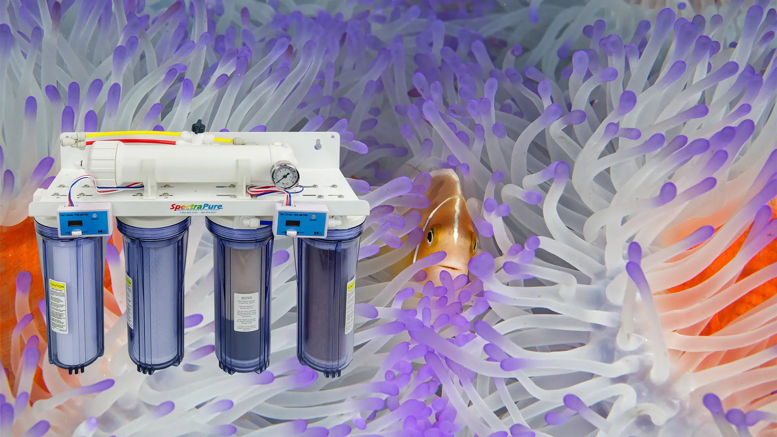 Enjoy More Time Relaxing as You Watch Your Gorgeous Indoor Reef! SpectraPure, Inc.