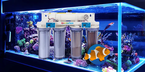 Aquarium-RODI-Systems SpectraPure, Inc.
