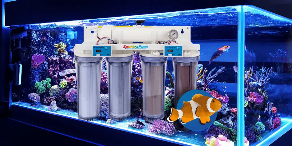 Aquarium-RODI-Systems SpectraPure, Inc.