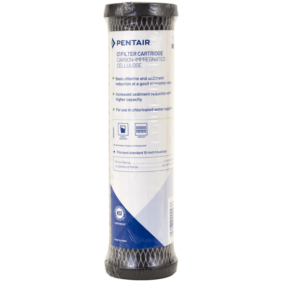 Pentek C1 Dual Purpose Sediment Carbon Filter - SF-CF-5-10