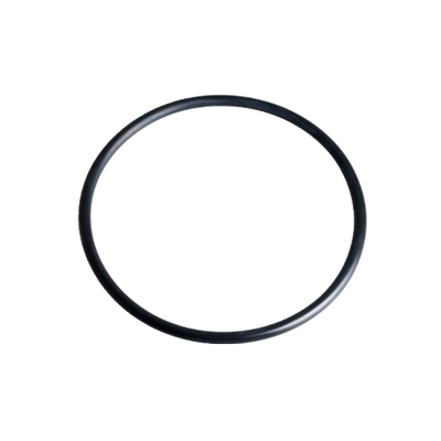 Replacement O-Ring for SpectraPure Filter Housings - 84mm - Spectrapure